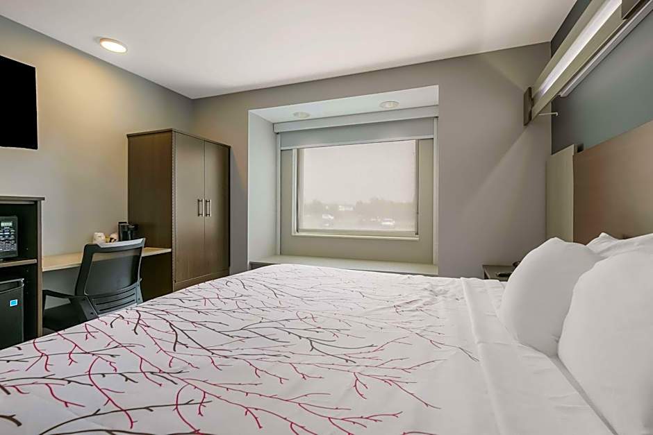 SureStay Plus Hotel by Best Western Sevierville