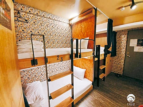 Bunk Bed in Mixed Dormitory Room