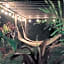 Hotel Posada James