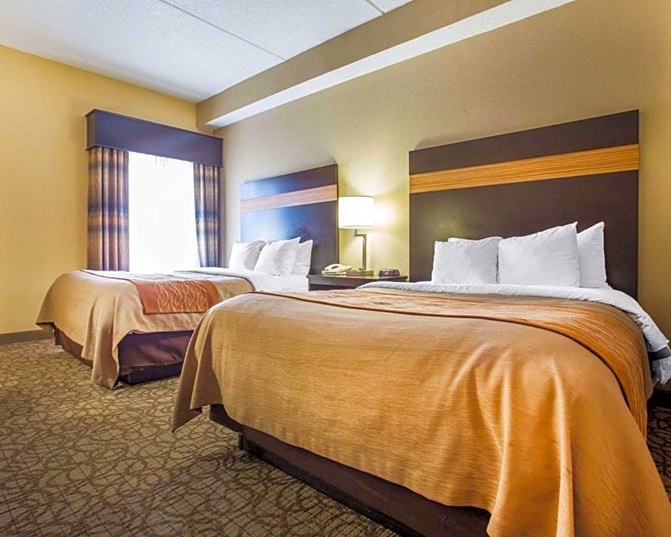 Comfort Inn & Suites At Stone Mountain