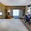 Holiday Inn St. Petersburg N - Clearwater