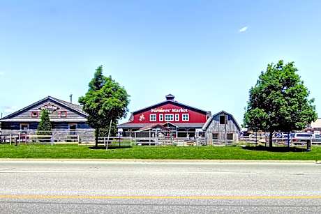 Holiday Inn Express Hotel & Suites Waterloo - St. Jacobs Area By IHG