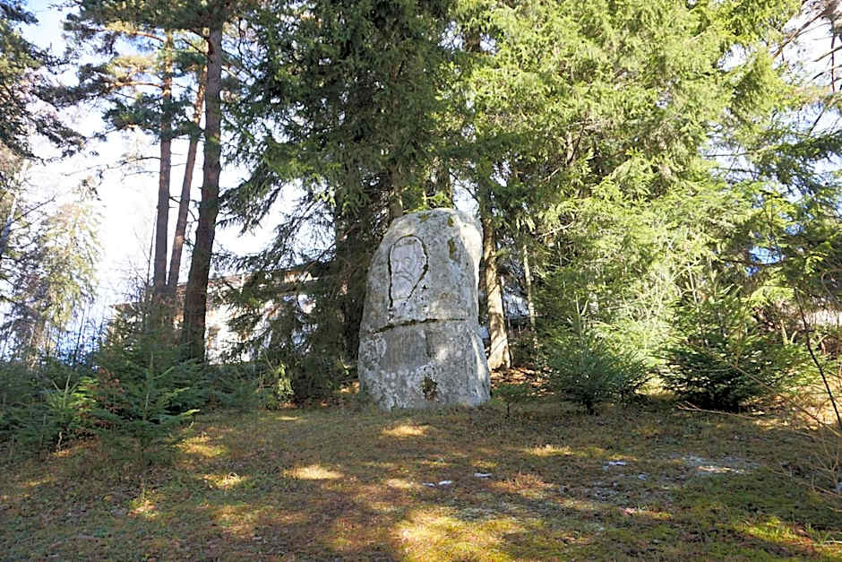 Hotel Borovets Edelweiss