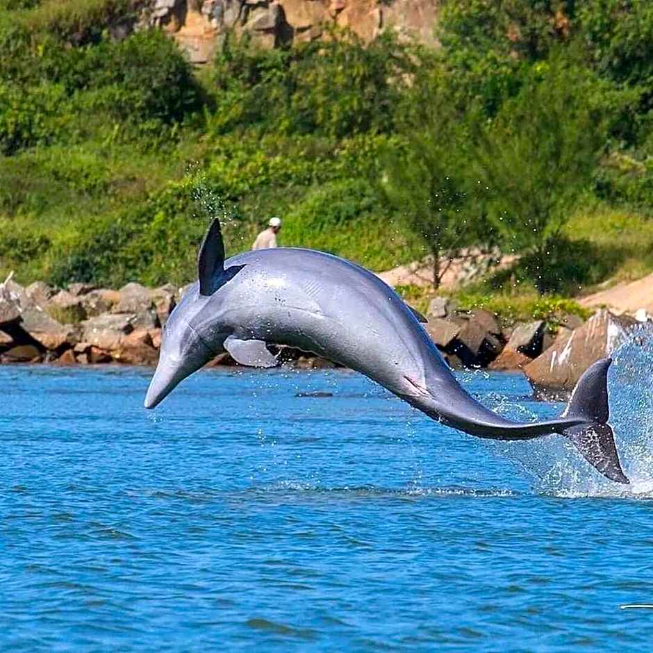 Resid. Clube Mar Grosso - Laguna - LAG706