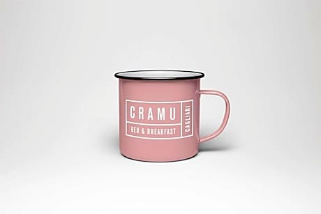 Superior Double or Twin Room with Terrace