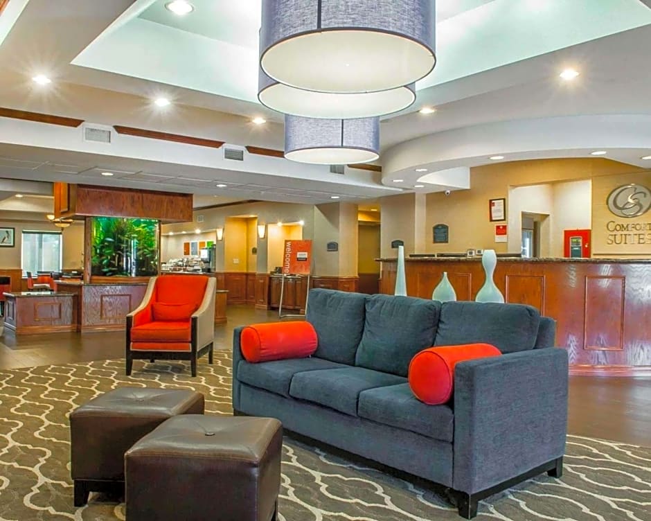 Comfort Suites Near Texas A&M Corpus Christi