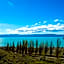 Design Suites Calafate