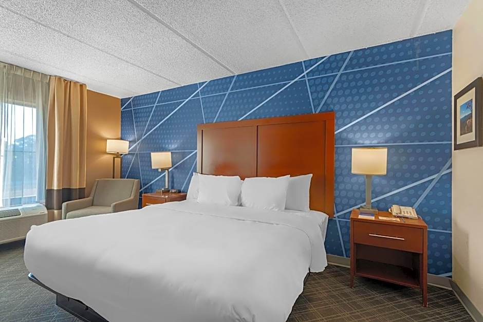 Comfort Inn & Suites Spartanburg North