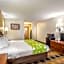 Econo Lodge Inn And Suites