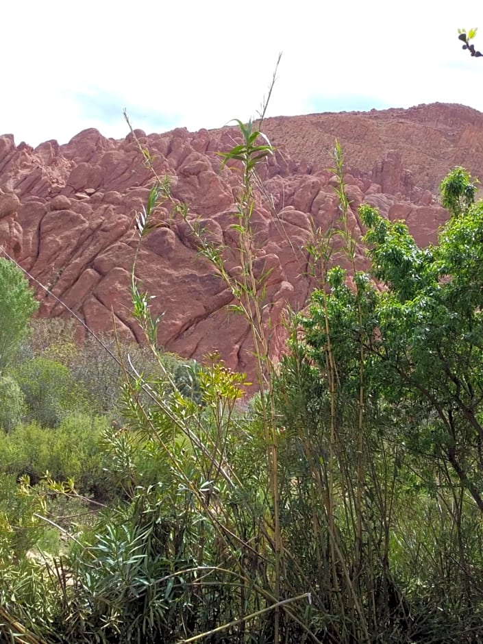 Maison D'hote Amazir DADES
