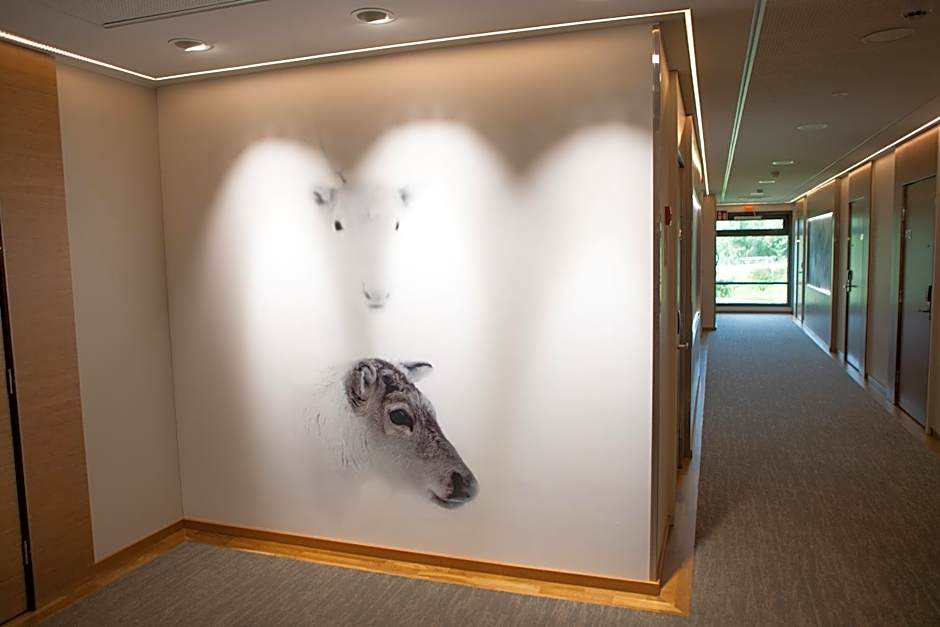 Kultahippu Hotel & Apartments