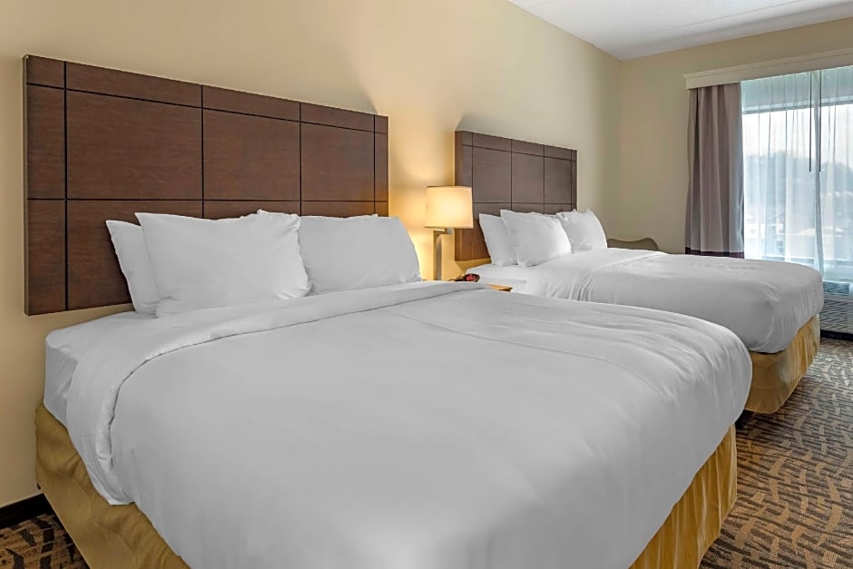 Comfort Inn & Suites Pittsburgh-Northshore