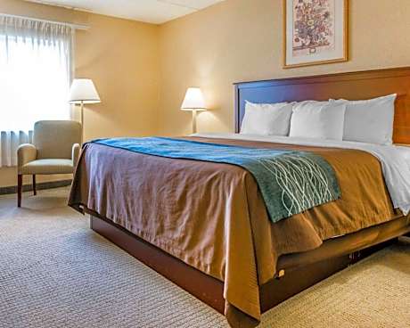 1 King Bed, Nonsmoking