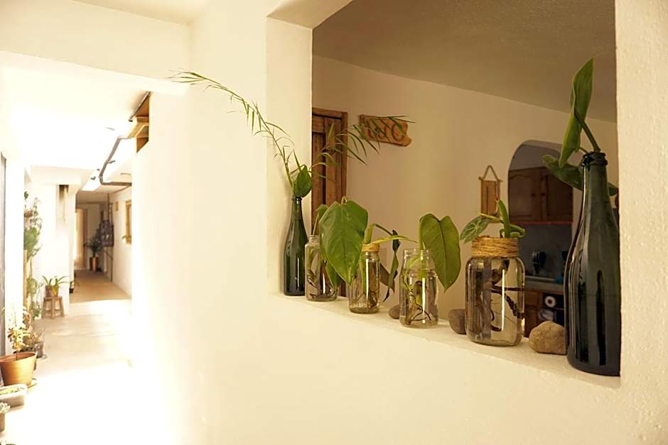 Hostel Boutique 55