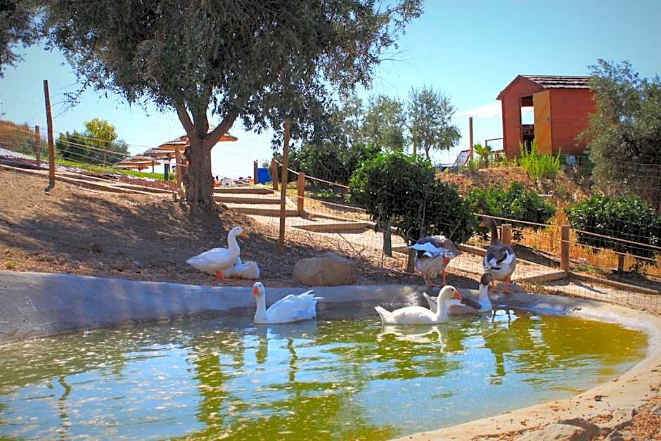 Hotel O Gato - Edificio Standard