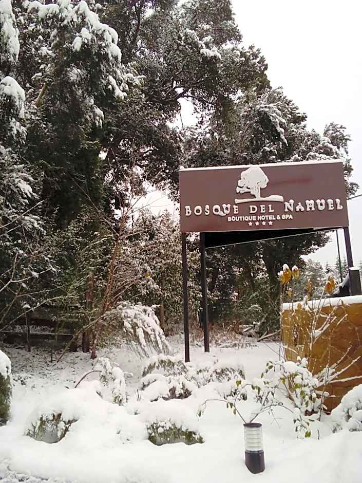 Boutique Hotel & Spa Bosque del Nahuel