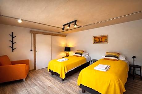 Double or Twin Room with Terrace
