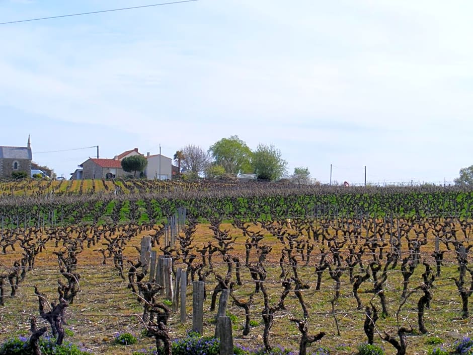 Chambres d'H¿tes Vignes et Loire