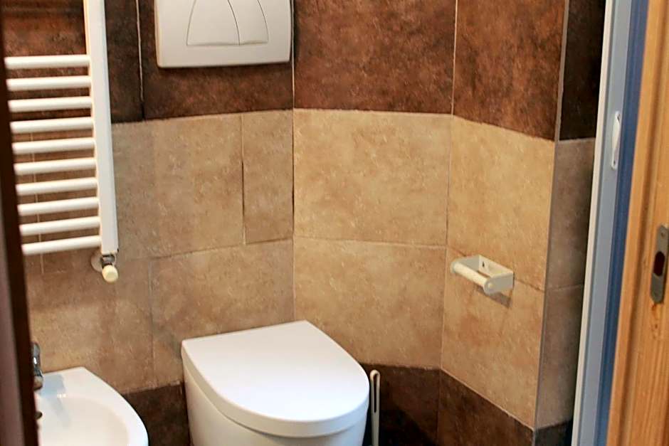 Daffodil in Roma San Pietro