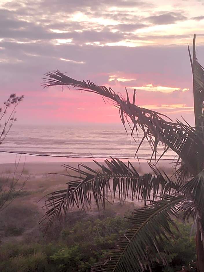 Haras Trevo de Ferro, Praia, Piscina e Campo