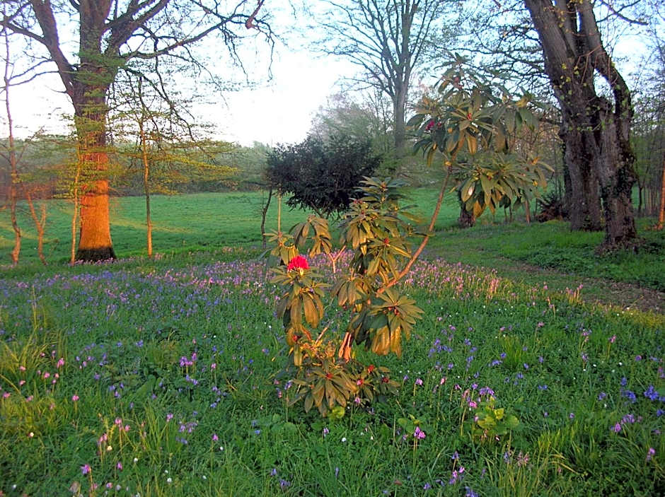 Hôtel des 4 continents - Le Mans