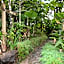Rainforest Eco Lodge
