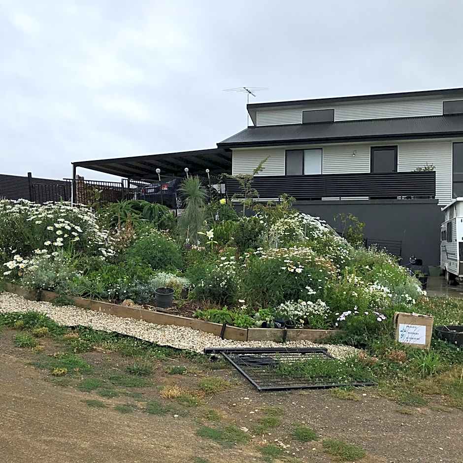 Bob Brown Room Art House