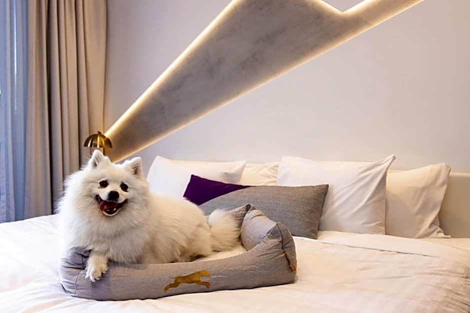 Hotel X Brisbane Fortitude Valley, Vignette Collection By IHG