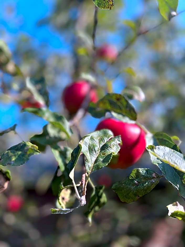 B&B Het Gelders Buitenleven
