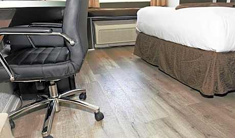 Queen Room with Roll-In Shower - Mobility/Hearing Accessible - Non-Smoking