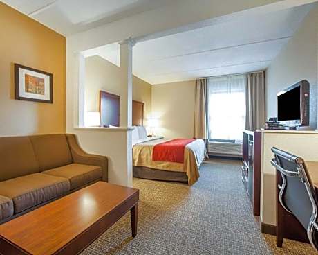 1 King Bed, Suite, Nonsmoking