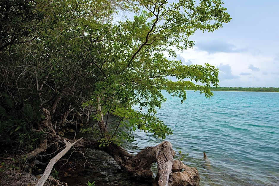 Laguna Bacalar Ichkiichpan