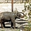Hotel Selwo Lodge - Animal Park Tickets Included