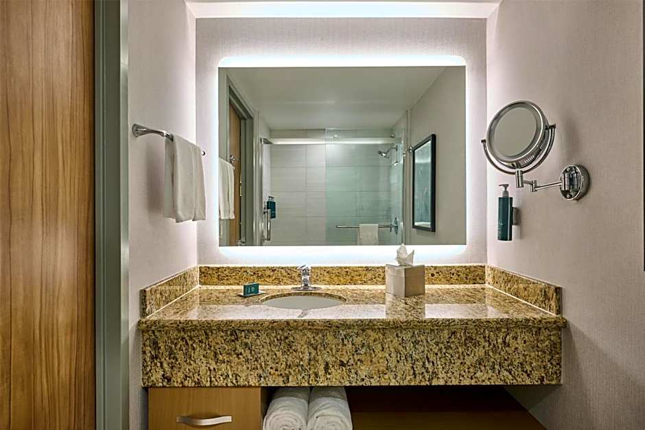 Hotel Zessa Orange County Airport, a DoubleTree by Hilton
