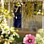 Amy's House Bed & Breakfast