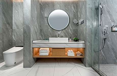 1 Bedroom Suite Mountain View