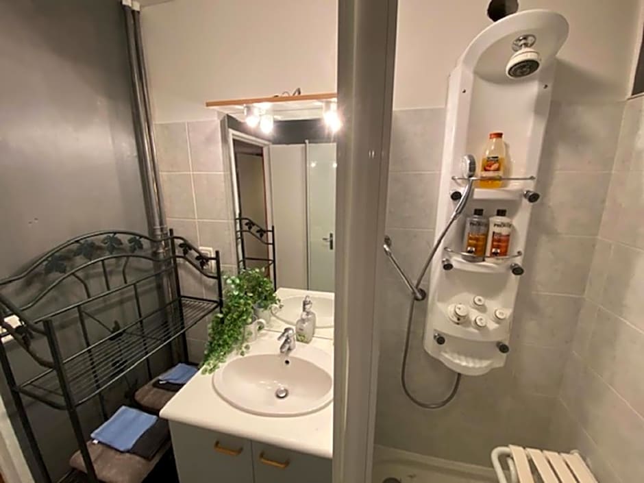 Les Meublés les Dômes du Parc