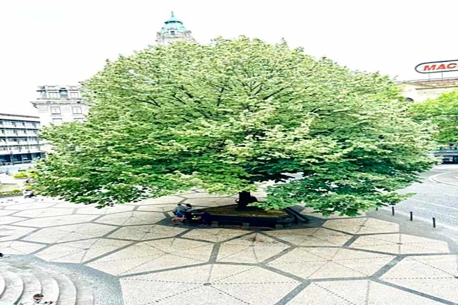 Fantasy Hostel Porto