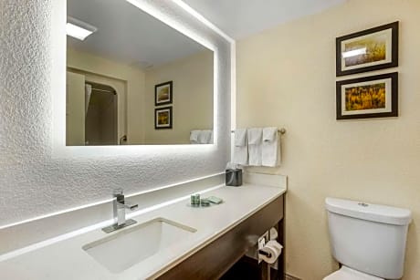 Accessible - Suite 2 Doubles - Mobility Accessible, Communication Assistance, Bathtub, Sofabed For One Person, Microwave And Mini-Refrigerator, Non-Smoking, Full Breakfast