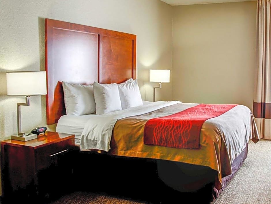 Comfort Inn Bessemer Birmingham South