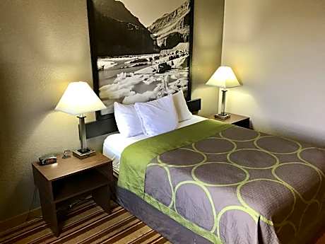 1 Queen Bed Mobility Accessible Room Non-Smoking
