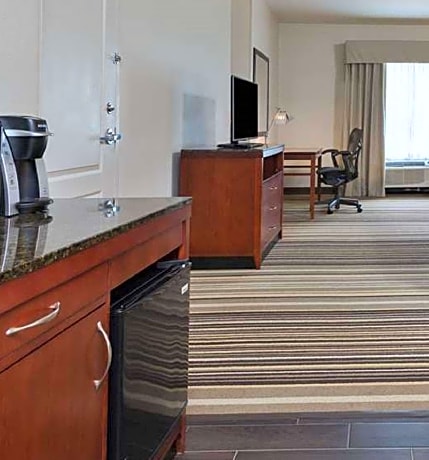 1 King Bed 1 Bedroom Suite With Sofabed