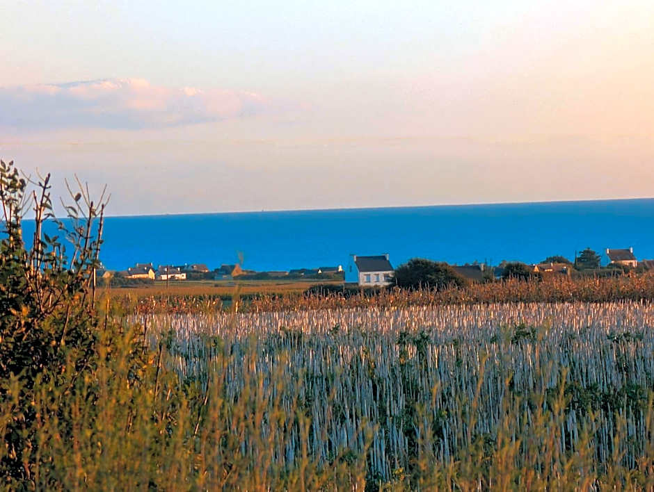 La Tour du Bois Dormant