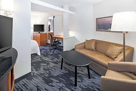 Studio, Multiple Beds (2 Queen Beds and 1 Double Sofa Bed)