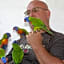 Amaroo Rainforest Resort