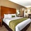 Comfort Inn & Suites Sacramento