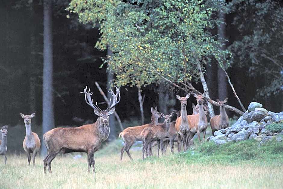 Kuskahusen vandrarhem