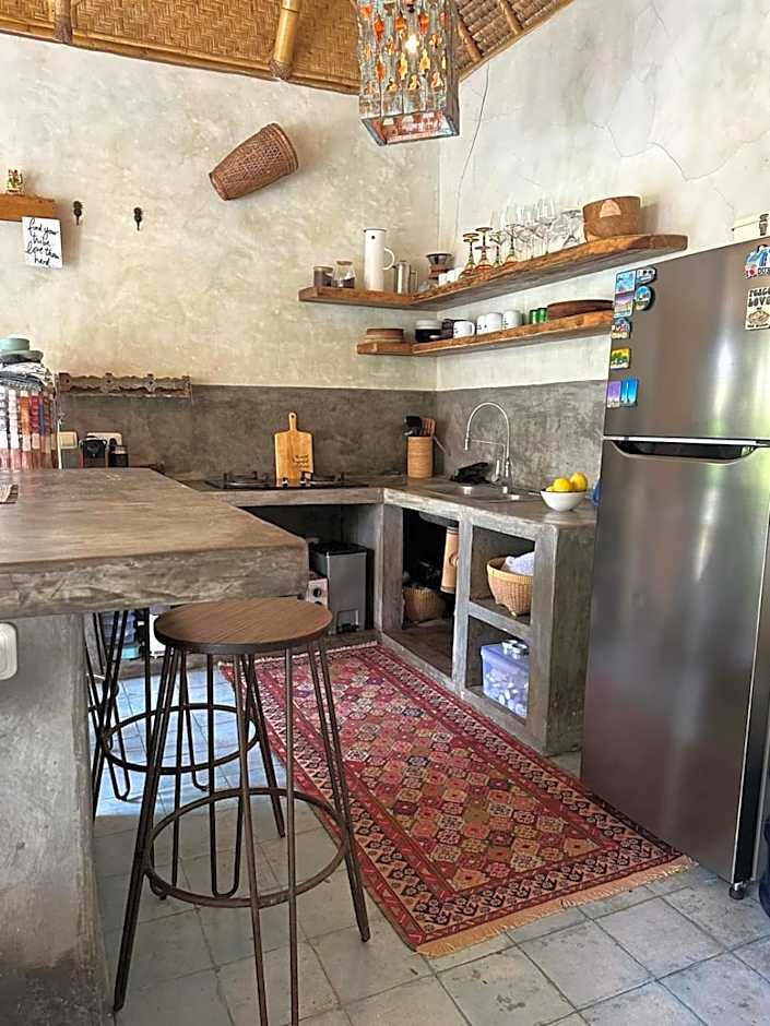 Tipsea Turtle Gili Air