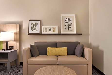 King Studio Suite with Sofa Bed - Non-Smoking