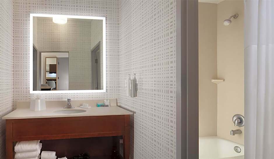Hampton Inn By Hilton And Suites Tampa-North
